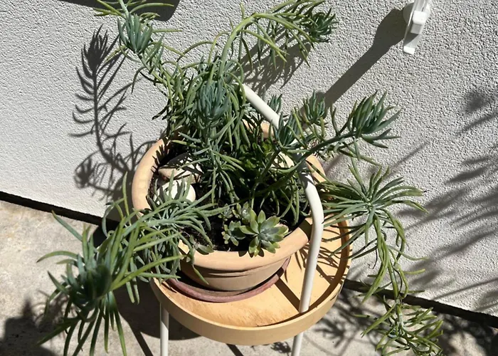 House Erin Tara Sigrid, Hvar *